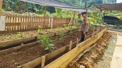 Dukung Ketahanan Pangan, Bhabinkamtibmas Polsek Lamandau Silaturahmi ke masyarakat terkait Program Asta Cita Presiden RI