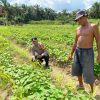 Bhabinkamtibmas Polsek Sematu Jaya Sambang ke masyarakat Terkait Ketahanan Pangan