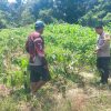 Dukung Ketahanan Pangan, Bhabinkamtibmas Polsek Bulik Silaturahmi ke masyarakat terkait Program Asta Cita Presiden RI
