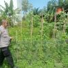 Dukung Ketahanan Pangan, Bhabinkamtibmas Polsek Bulik Silaturahmi ke masyarakat terkait Program Asta Cita Presiden RI