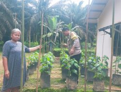 Dukung Ketahanan Pangan, Bhabinkamtibmas Polsek Bulik Silaturahmi ke masyarakat terkait Program Asta Cita Presiden RI