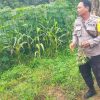 Dukung Ketahanan Pangan, Bhabinkamtibmas Polsek Bulik Silaturahmi ke masyarakat terkait Program Asta Cita Presiden RI