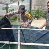 Dukung Ketahanan Pangan, Bhabinkamtibmas Cek Budidaya Ikan Lele