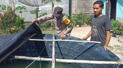 Dukung Ketahanan Pangan, Bhabinkamtibmas Cek Budidaya Ikan Lele