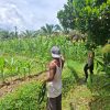 Dukung Ketahanan Pangan, Bhabinkamtibmas Polsek Lamandau Silaturahmi ke masyarakat terkait Program Asta Cita Presiden RI
