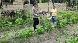 Dukung Ketahanan Pangan, Bhabinkamtibmas Polsek Sematu Jaya Silaturahmi ke masyarakat terkait Program Asta Cita Presiden RI