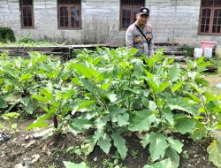 Dukung Swasembada Pangan Nasional Personil Cek Lokasi Pemanfaatan Pekarangan Warga di Kec. Marikit, Kab. Katingan