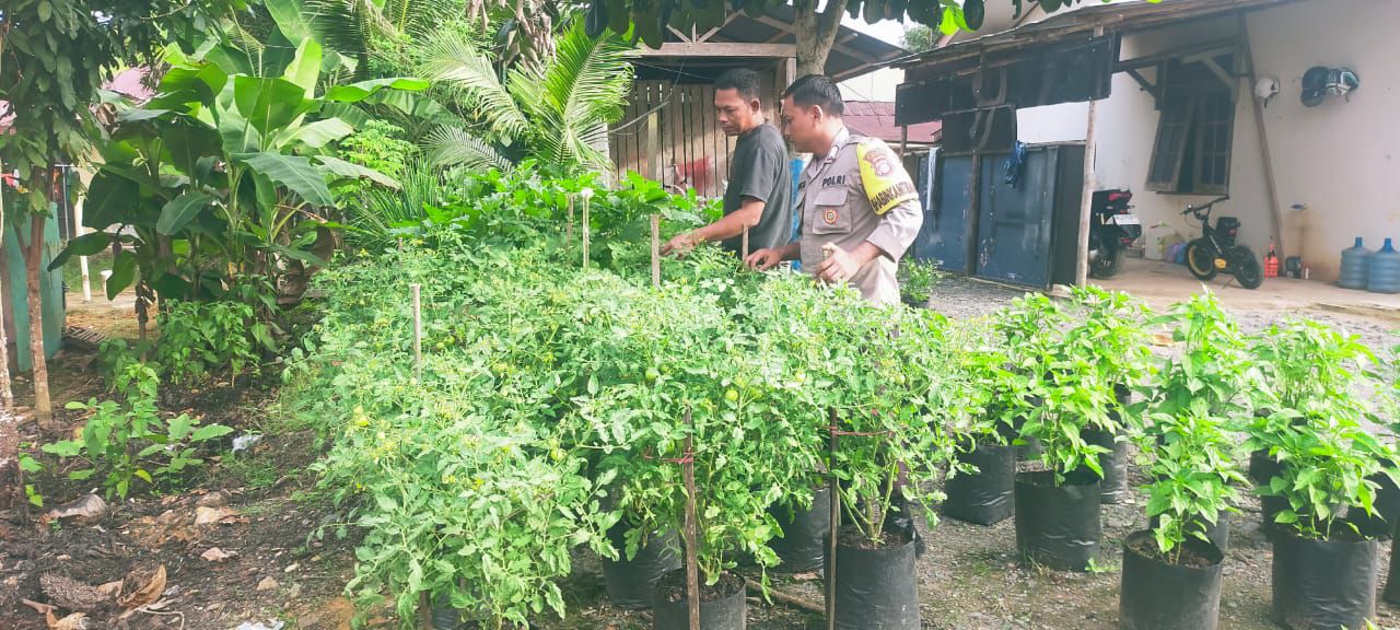 Dukung Ketahanan Pangan, Bhabinkamtibmas Polsek Bulik Silaturahmi ke masyarakat terkait Program Asta Cita Presiden RI