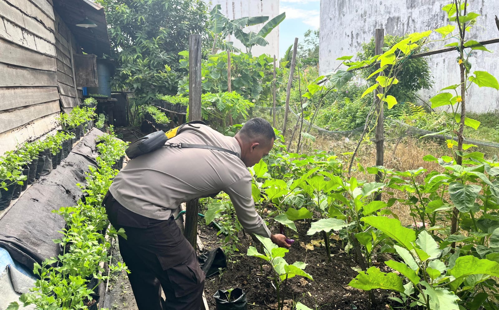 Personil Polsek Katingan Kuala Rutin Melakukan Pengecekan Lokasi Pemanfaatan Lahan Pekarangan Warga