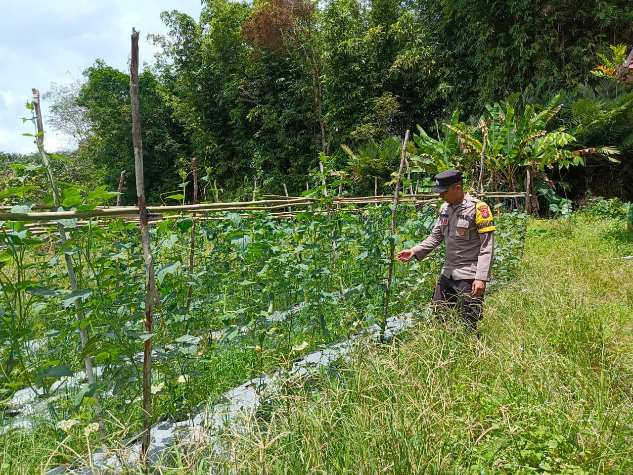 Dukung Ketahanan Pangan, Bhabinkamtibmas Polsek Delang Silaturahmi ke masyarakat terkait Program Asta Cita Presiden RI