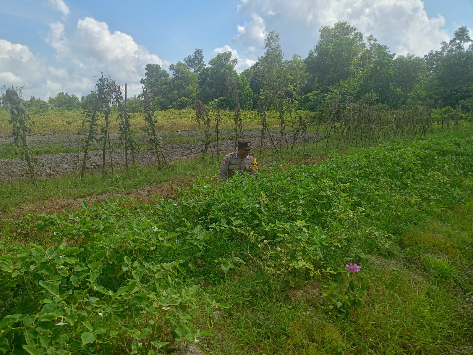 Mendukung Ketahanan Pangan, Personil Polsek Katingan Hulu Cek Lokasi Pemanfaatan Pekarangan Warga.