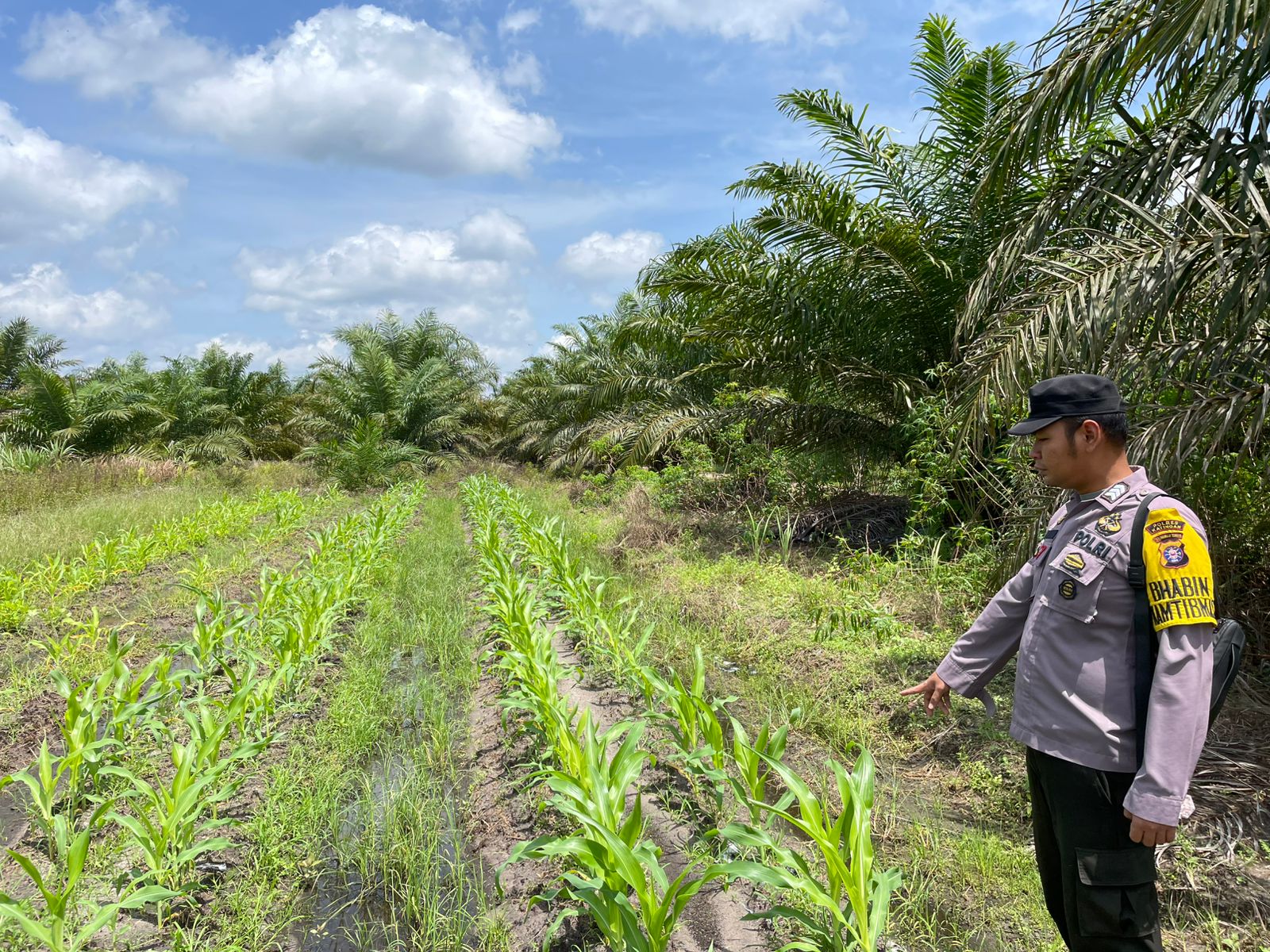 Polsek Tasik Payawan dan Kamipang Melaksanakan Pengecekan Pemanfaatan Lahan Pekarangan Milik Warga RT. 1 Desa Petak Bahandang