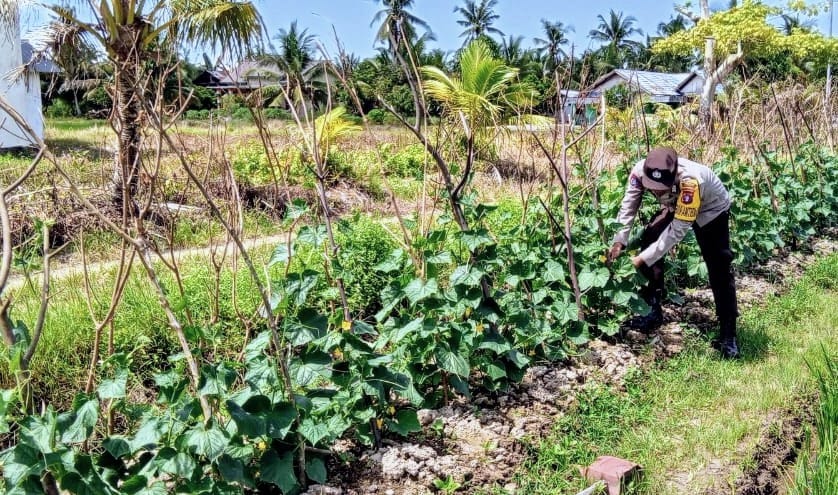 Personil Polsek Katingan Kuala Rutin Melakukan Pengecekan Lokasi Pemanfaatan Lahan Pekarangan Warga