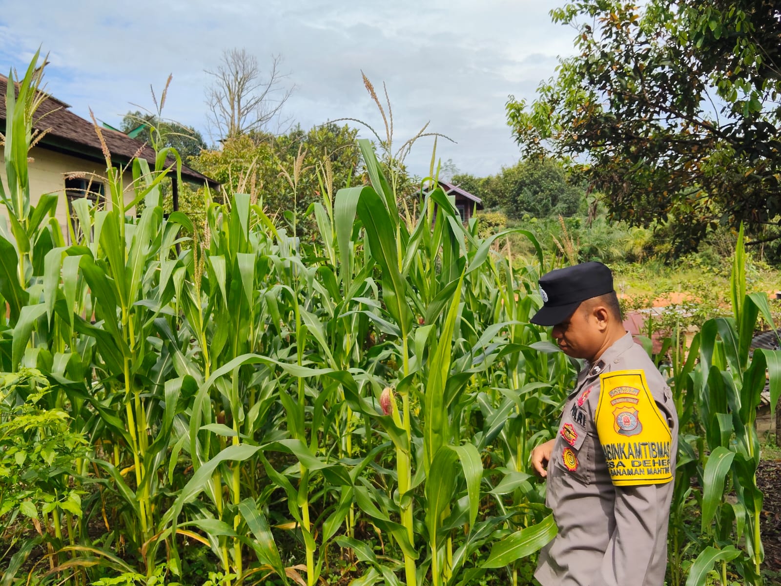 Mendukung Ketahanan Pangan, Personil Polsek sanaman mantikei Cek Lokasi Pemanfaatan Pekarangan Warga.