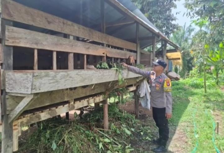 Dukung Ketahanan Pangan, Bhabinkamtibmas Sambangi Peternak Kambing