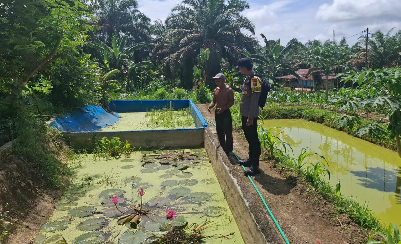 Dukung Ketahanan Pangan, Bhabinkamtibmas Cek Budidaya Ikan Nila Merah