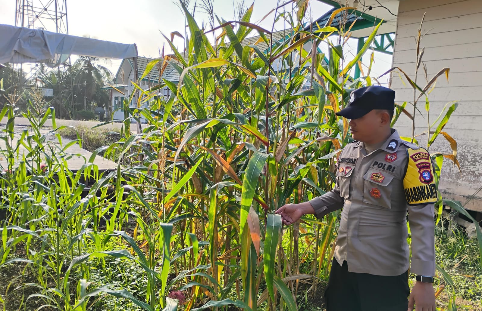 Bhabinkamtibmas Polsek Tasik Payawan dan Kamipang Cek Pekarangan Pangan Bergizi Warga Binaan‎