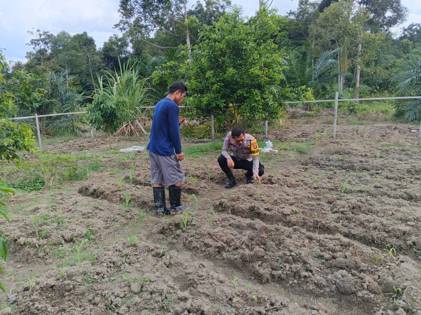 Dukung Ketahanan Pangan, Bhabinkamtibmas Polsek Delang Silaturahmi ke masyarakat terkait Program Asta Cita Presiden RI