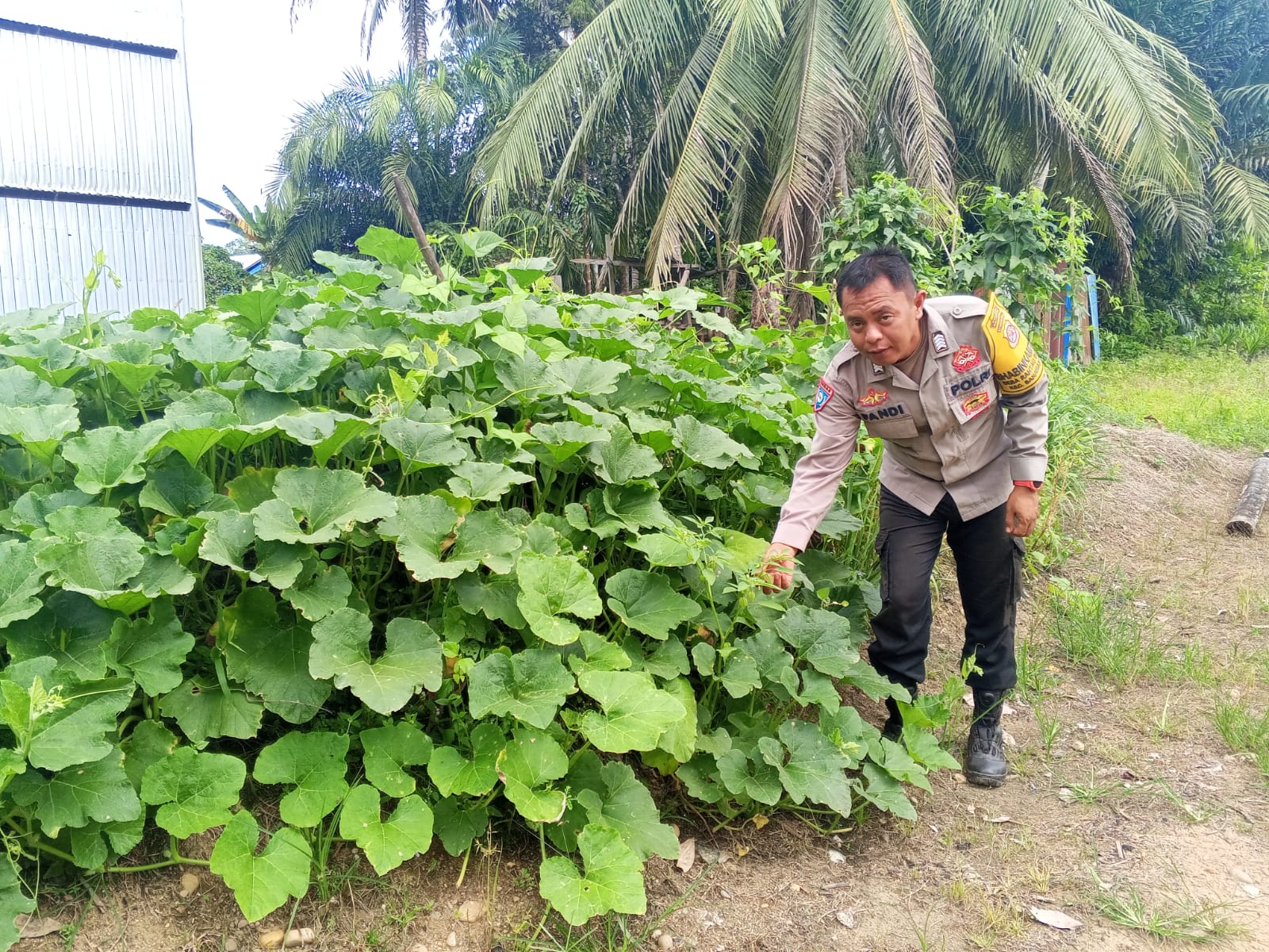Personil Polsek Sanaman Mantikei Cek Lokasi Pemanfaatan Pekarangan Warga.