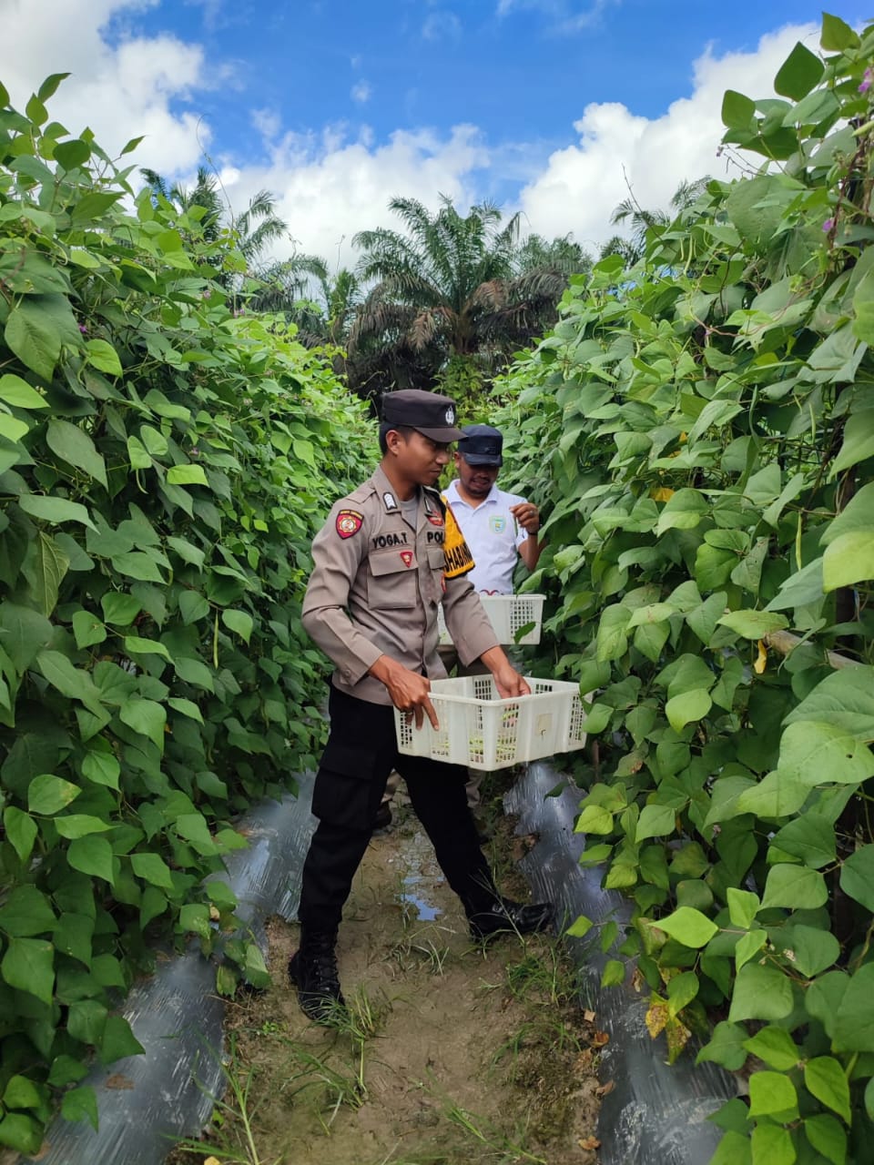 Dukung Ketahanan Pangan, Bhabinkamtibmas Polsek Sematu Jaya Silaturahmi ke masyarakat terkait Program Asta Cita Presiden RI
