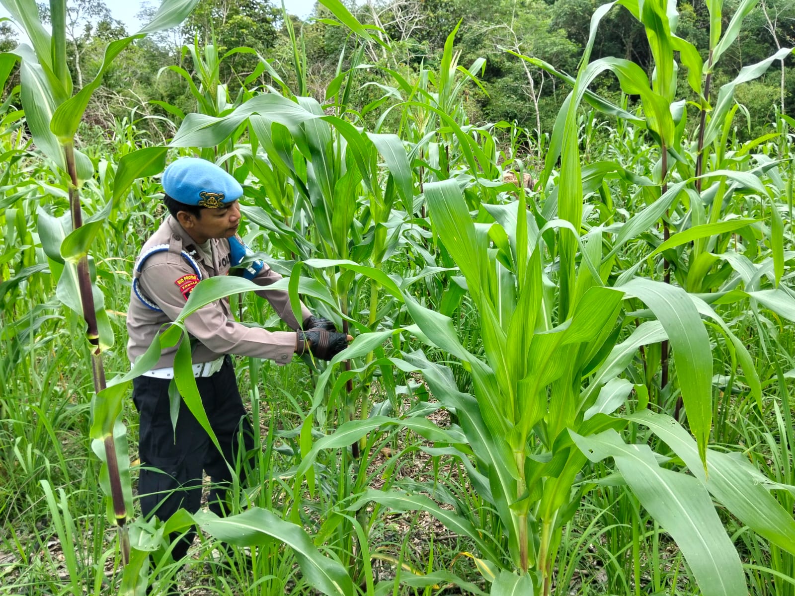 Dukung Asta Cita Personil Piket Polsek Marikit Cek Lokasi Pemanfaatan Lahan dan Pekarangan Warga di Kec. Marikit, Kab. Katingan