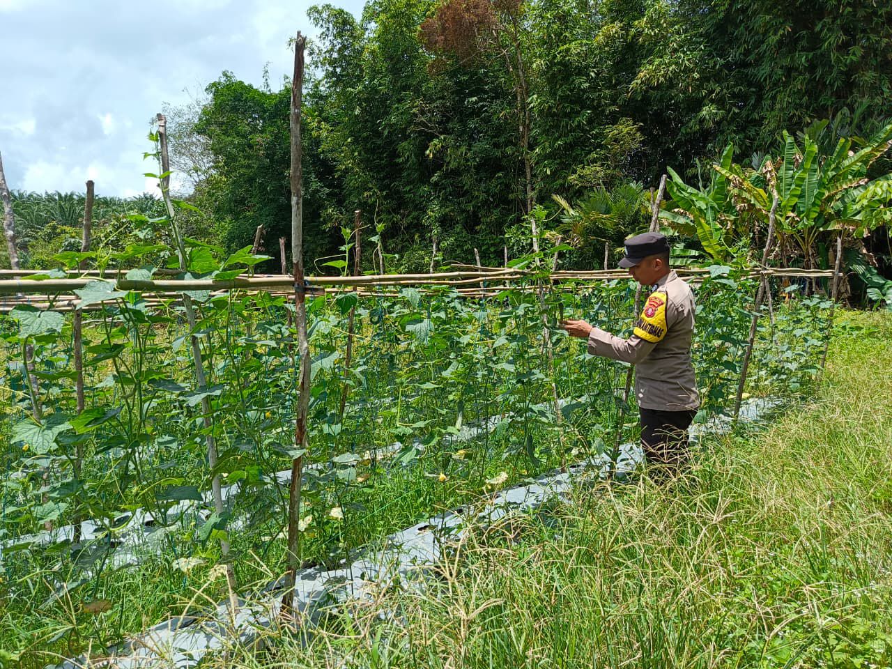 Dukung Ketahanan Pangan, Bhabinkamtibmas Polsek Delang Silaturahmi ke masyarakat terkait Program Asta Cita Presiden RI