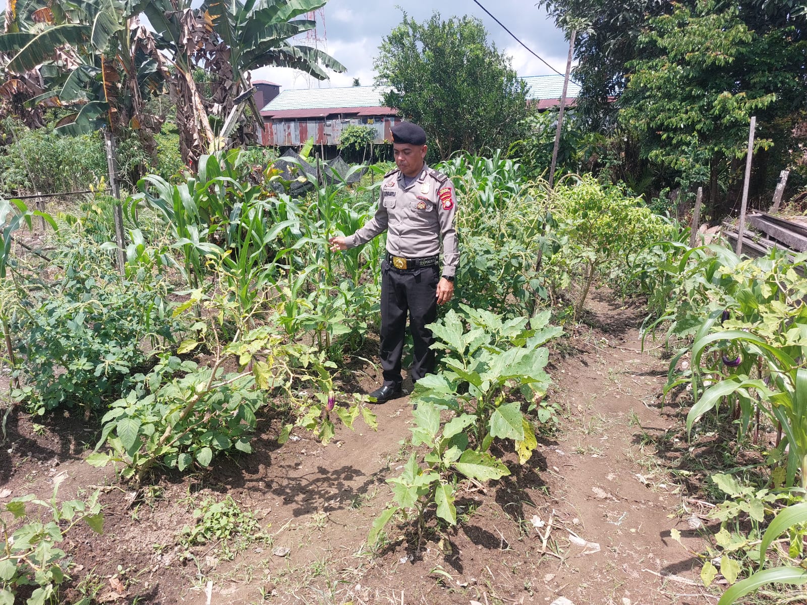 Dukung Program Pemerintah Asta Cita Personil Piket Polsek Marikit Cek Lokasi Pemanfaatan Lahan dan Pekarangan Warga di Desa Tumbang Hiran Kec. Marikit, Kab. Katingan.