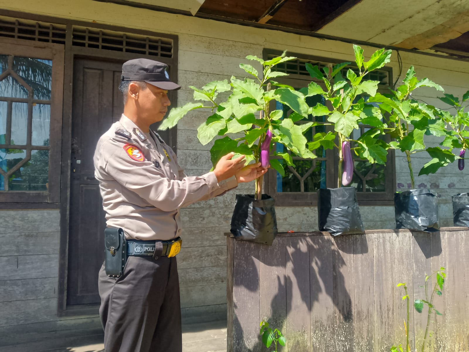 Dukung Ketahanan Pangan, Personil Polsek Marikit Cek Lokasi Pemanfaatan Pekarangan di kec.marikit.