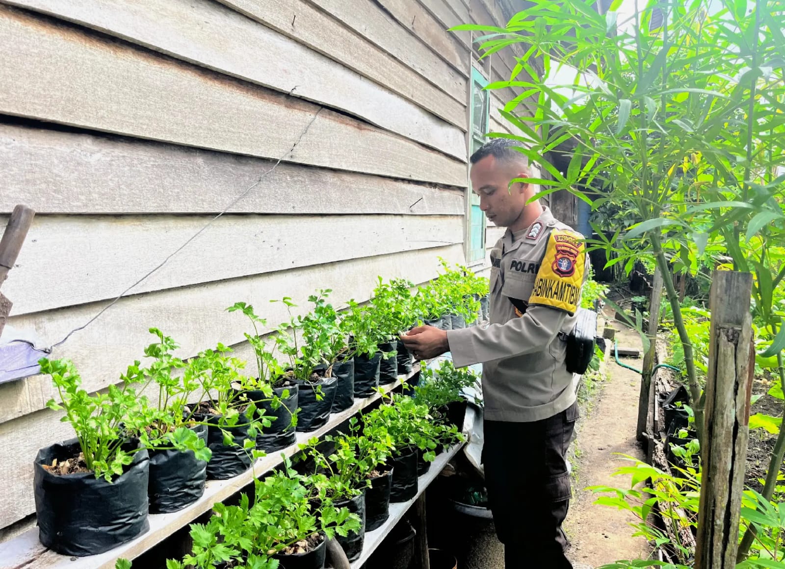 Dalam Rangka Mendukung Program Ketahanan Pangan,Personil Polsek Katingan Kuala Rutin Melakukan Pengecekan Lokasi Pemanfaatan Lahan Pekarangan Warga