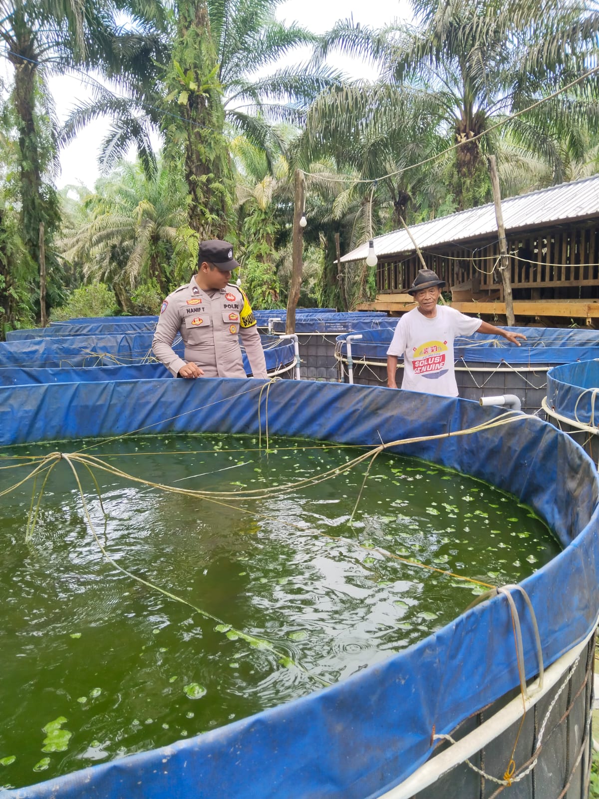 Dukung Ketahan pangan, Bhabinkamtibmas Cek Budidaya Kolam Ikan lele