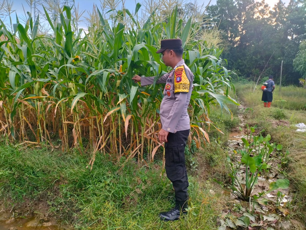 Dalam Rangka Mendukung Program Pemerintah, Bhabinkamtibmas Desa Tumbang Bulan Polsek Mendawai Cek Lokasi Pemanfaatan Lahan Pekarangan Warga