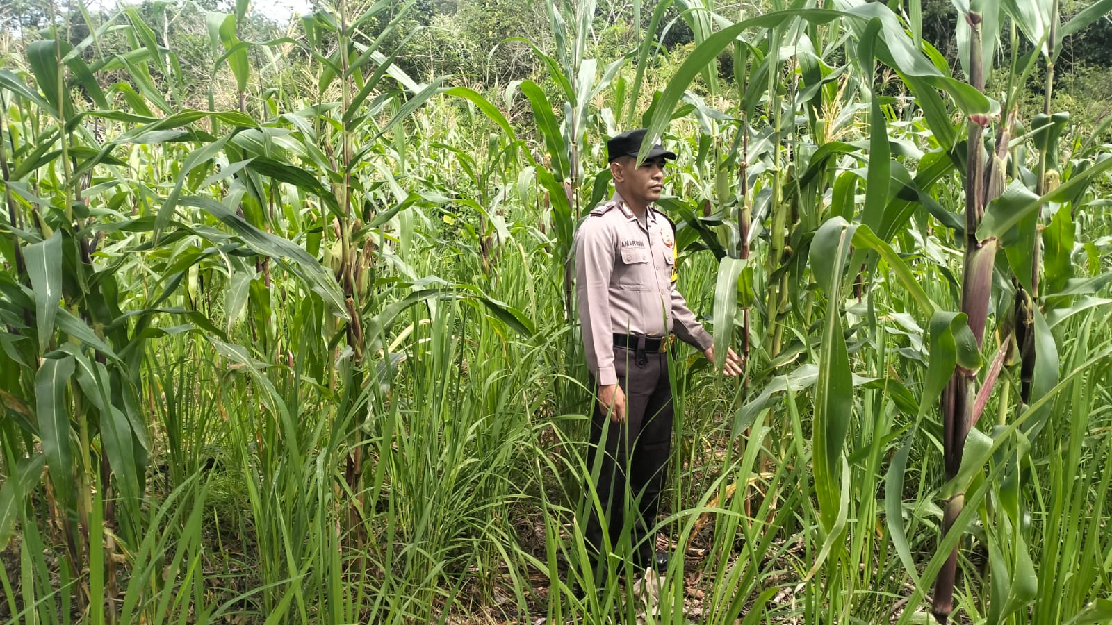 Personil Cek Lokasi Pemanfaatan Pekarangan Warga di Kec. Marikit, Kab. Katingan.