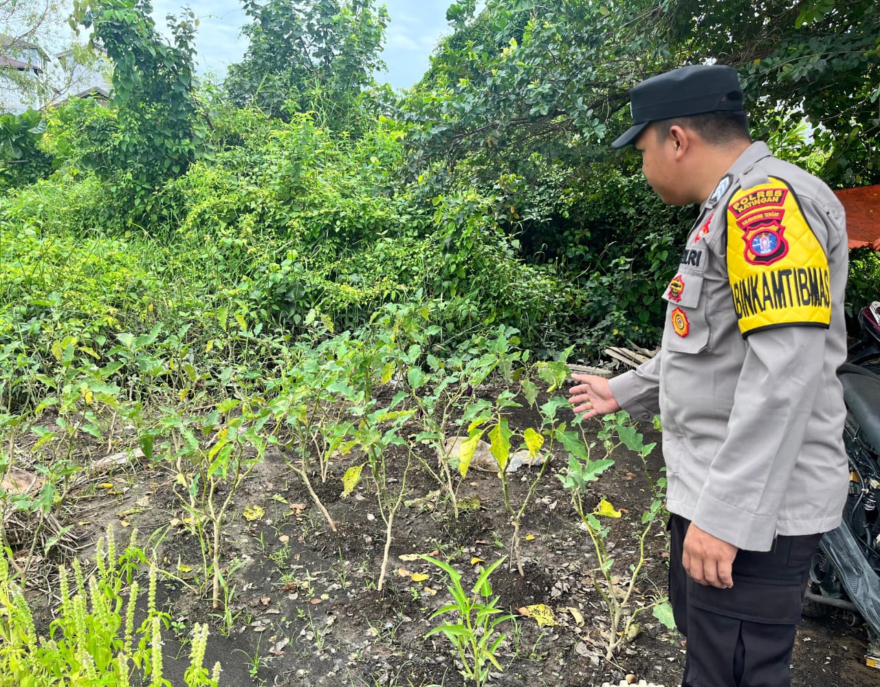 Dalam Rangka Mendukung Program Ketahanan Pangan, Personil Polsek Katingan Kuala Rutin Melakukan Pengecekan Lokasi Pemanfaatan Lahan Pekarangan Warga