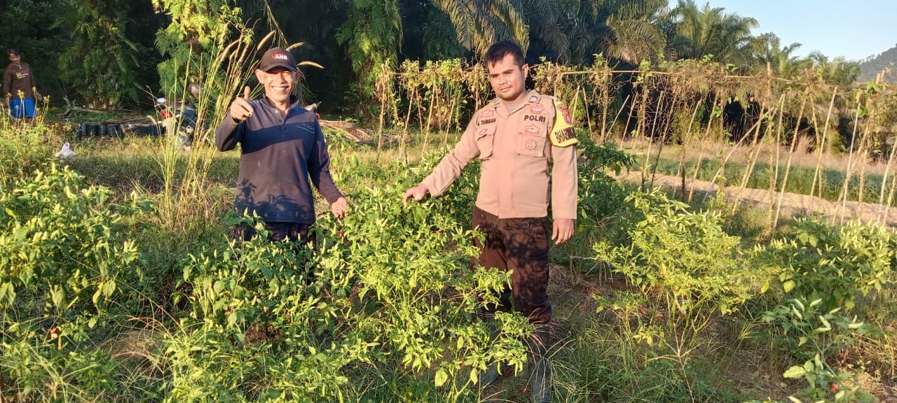 Dukung Ketahanan Pangan, Bhabinkamtibmas Polsek Sematu Jaya Silaturahmi ke masyarakat terkait Program Asta Cita Presiden RI