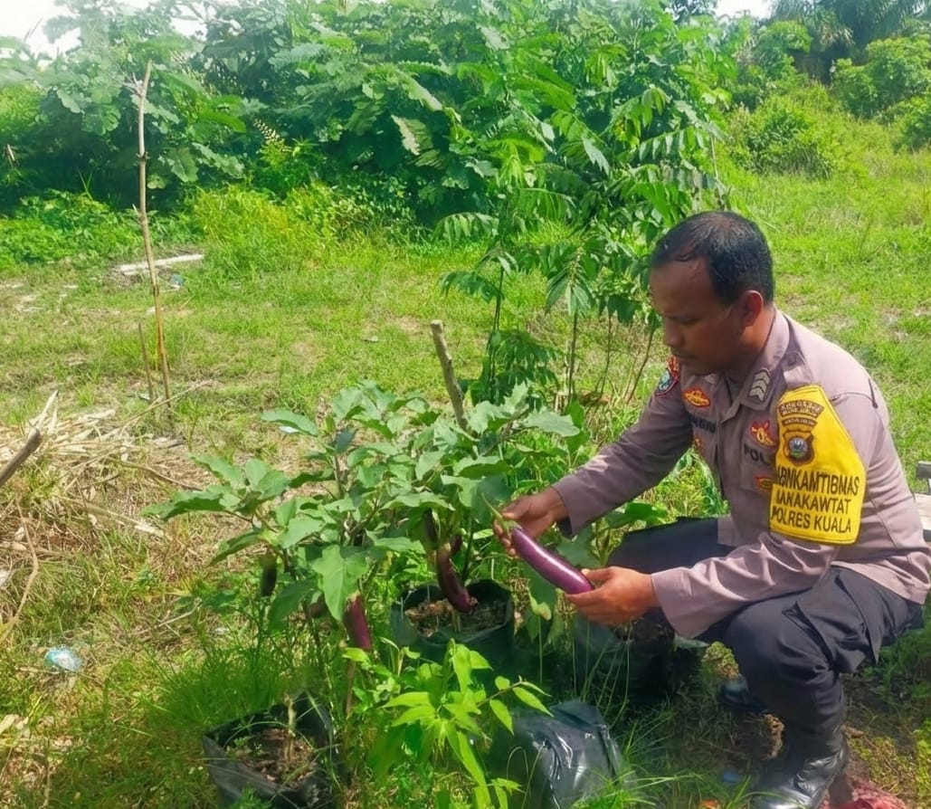 Bhabinkamtibmas Polsek Katingan Kuala cek lokasi pemanfaatan pekarangan rumah warga binaan