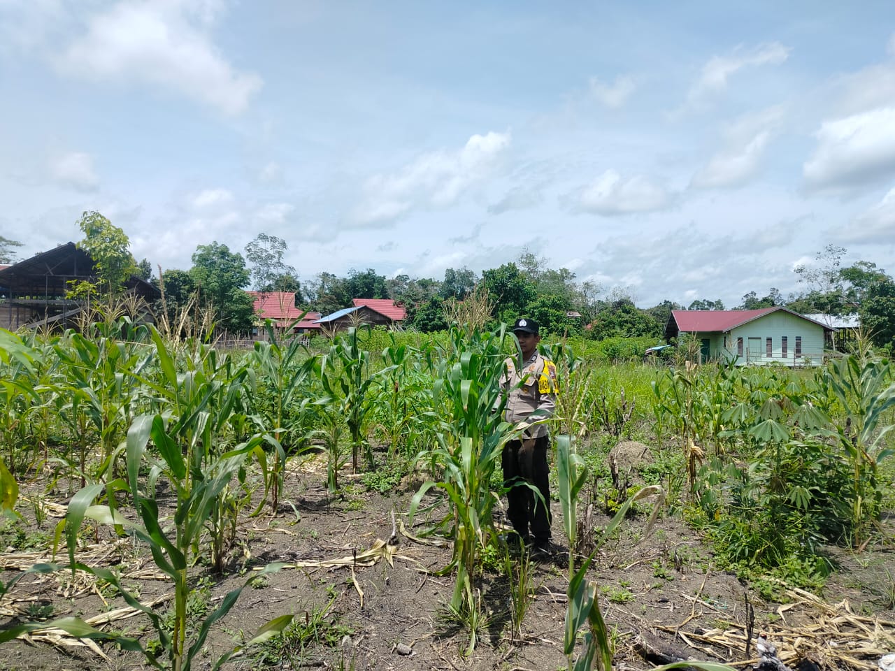 Personil Cek Lokasi Pemanfaatan Pekarangan Warga di Kec. Marikit, Kab. Katingan.