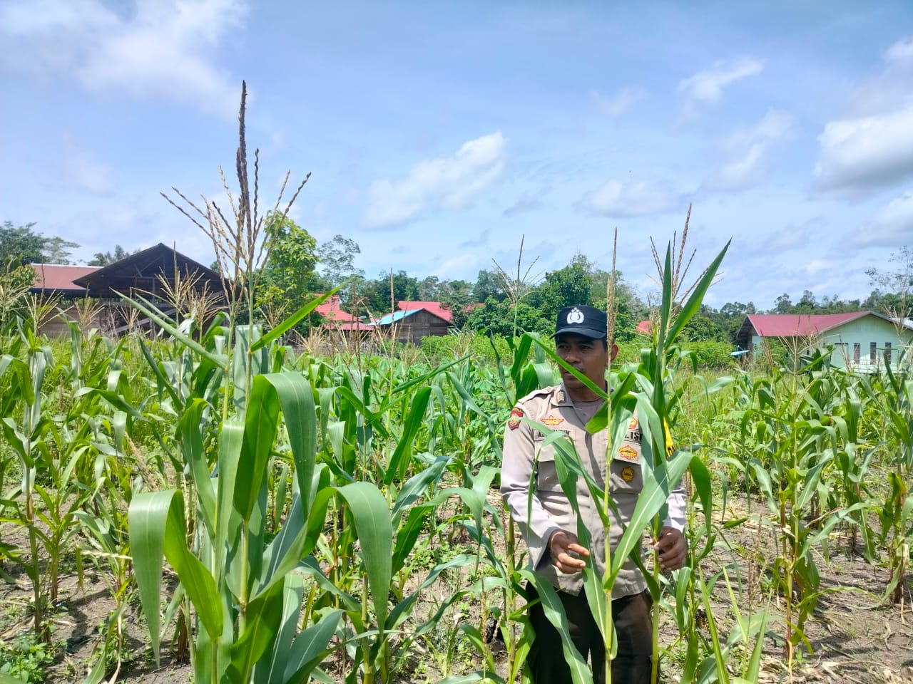 Personil Polsek Marikit Cek Lokasi Pemanfaatan Pekarangan Warga di Kec. Marikit, Kab. Katingan.