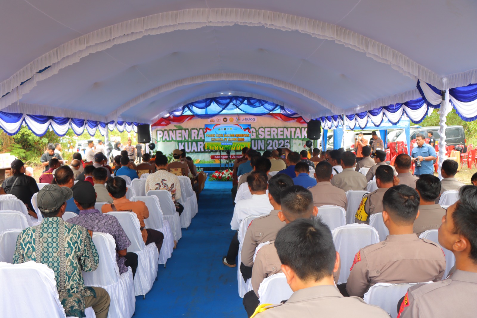 Dukung Ketahanan Pangan, Kapolda Kalteng Panen Raya Jagung Serentak Kuartal IV di Katingan