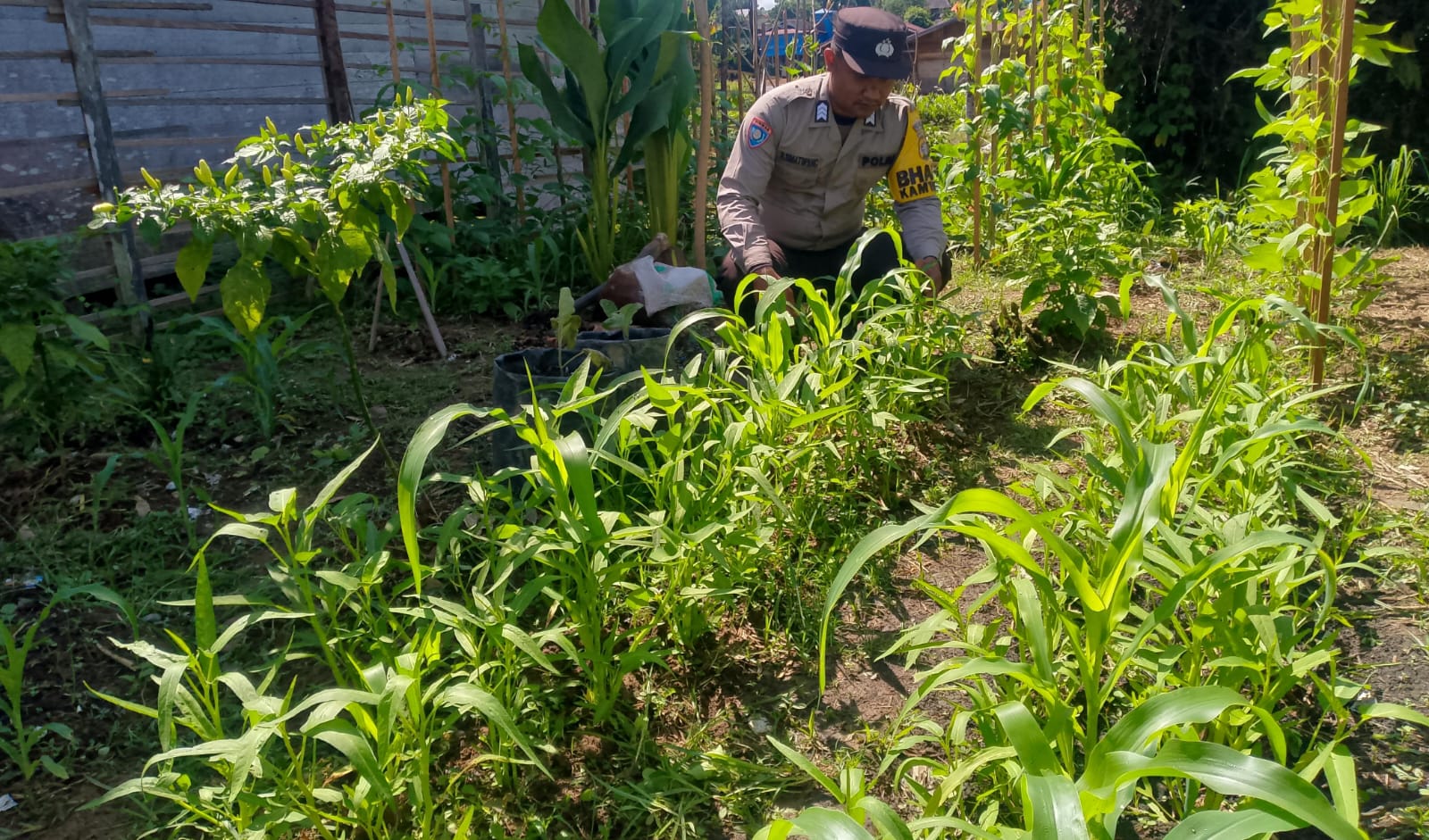 Polsek Marikit melaksanakan kegiatan pengecekan pemanfaatan lahan dalam program Ketahanan Pangan bentuk Dukungan terhadap Kebijakan Presiden RI tentang Asta Cita Ketahanan Pangan
