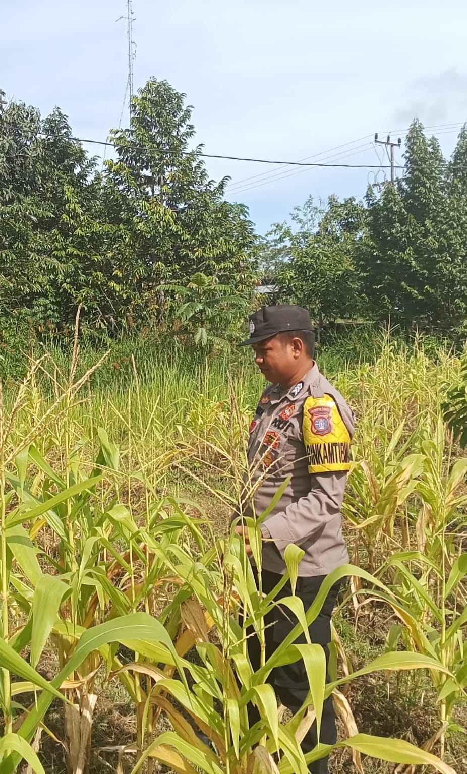 Dalam Rangka Mendukung Program Pemerintah, Bhabinkamtibmas Desa Mendawai Polsek Mendawai Cek Lokasi Pemanfaatan Lahan Pekarangan Warga