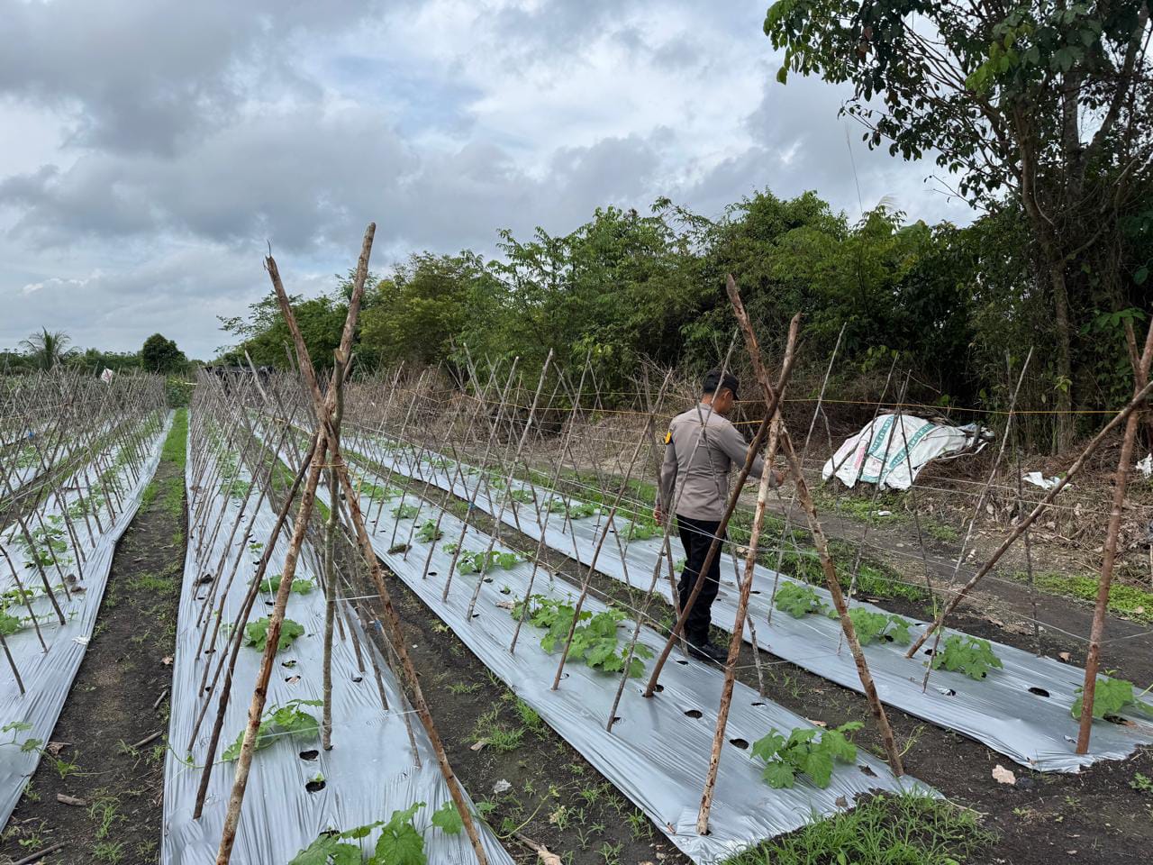 Polsek Tewang Sangalang Garing dan Pulau Malan Imbau Warga Tingkatkan Pemanfaatan Lahan Untuk Ketahanan Pangan