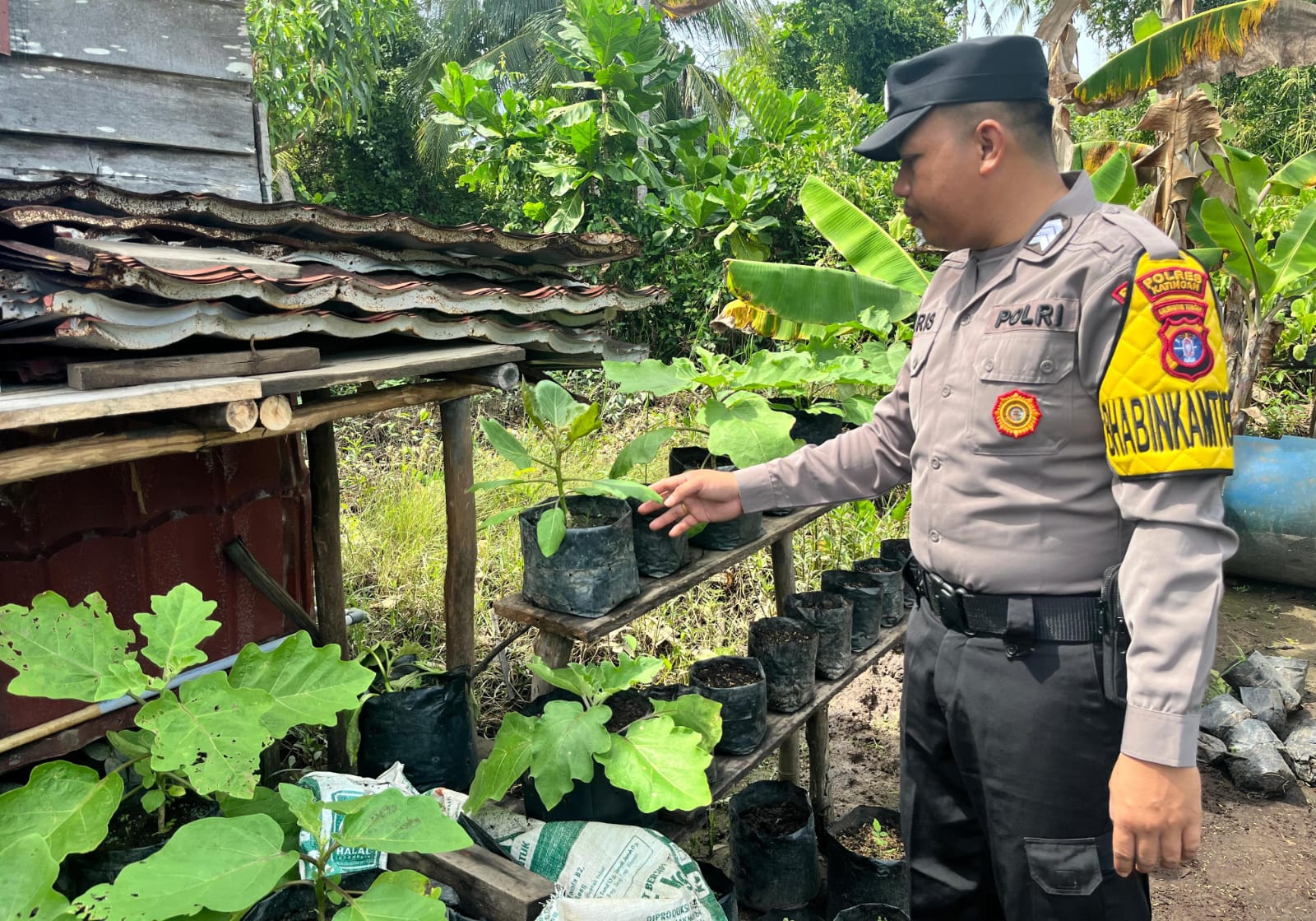 Pengecekan Lokasi Pemanfaatan Lahan Pekarangan Warga Pegatan Hilir Kecamatan Katingan Kuala