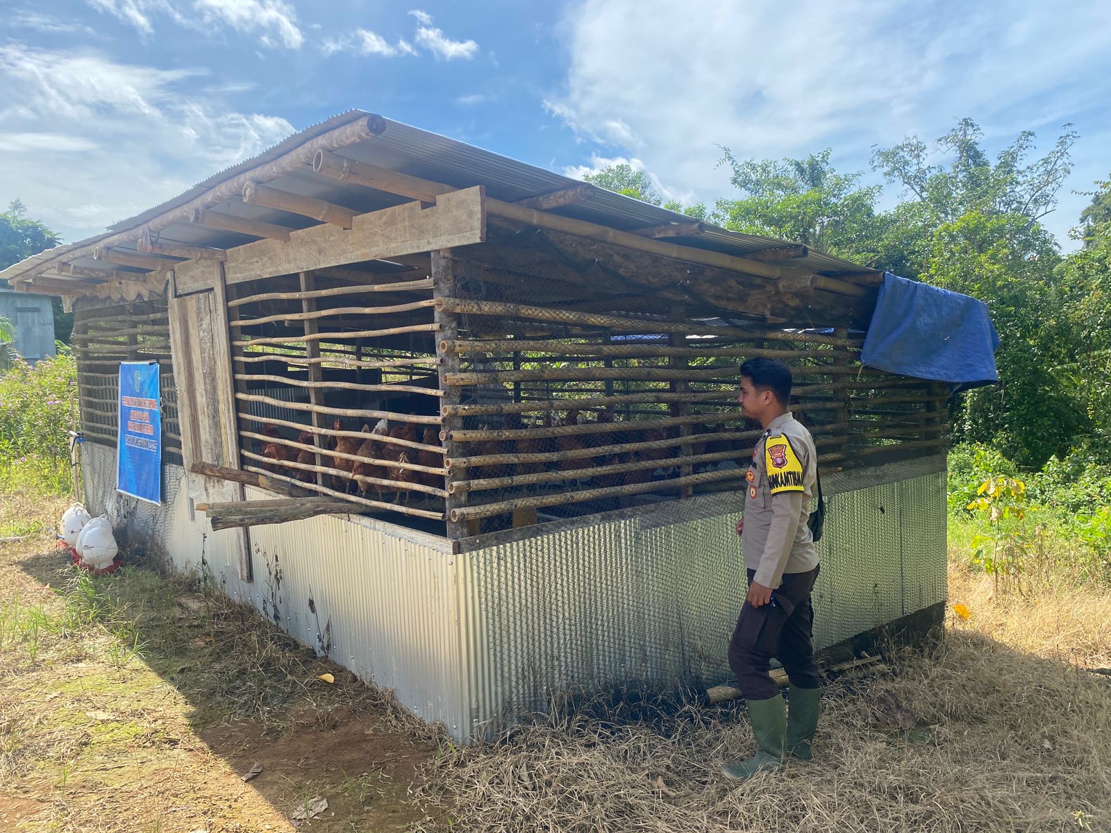 Dukung Ketahanan Pangan, Bhabinkamtibmas Sambangi Peternak Ayam