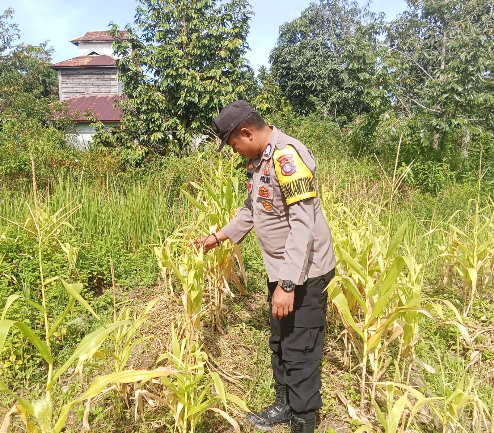 Dalam Rangka Mendukung Program Pemerintah, Bhabinkamtibmas Desa Mendawai Polsek Mendawai Cek Lokasi Pemanfaatan Lahan Pekarangan Warga