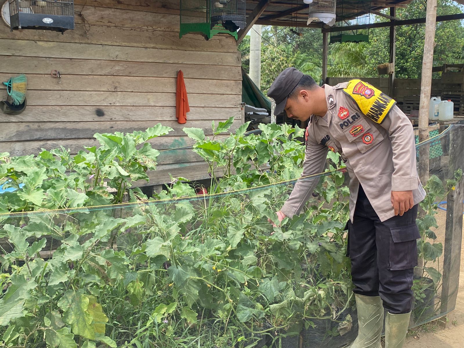 Dukung Ketahanan Pangan, Bhabinkamtibmas Polsek Bulik Silaturahmi ke masyarakat terkait Program Asta Cita Presiden RI