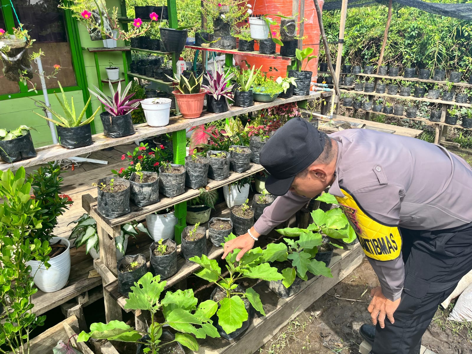 Bhabinkamtibmas Desa Kampung Tengah Sambangi Masyarakat Pemilik Pemanfaatan Lahan Pekarangan