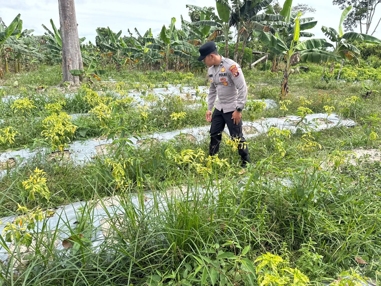 Bhabinkamtibmas Polsek Bulik Silaturahmi ke masyarakat terkait Program Asta Cita Presiden RI