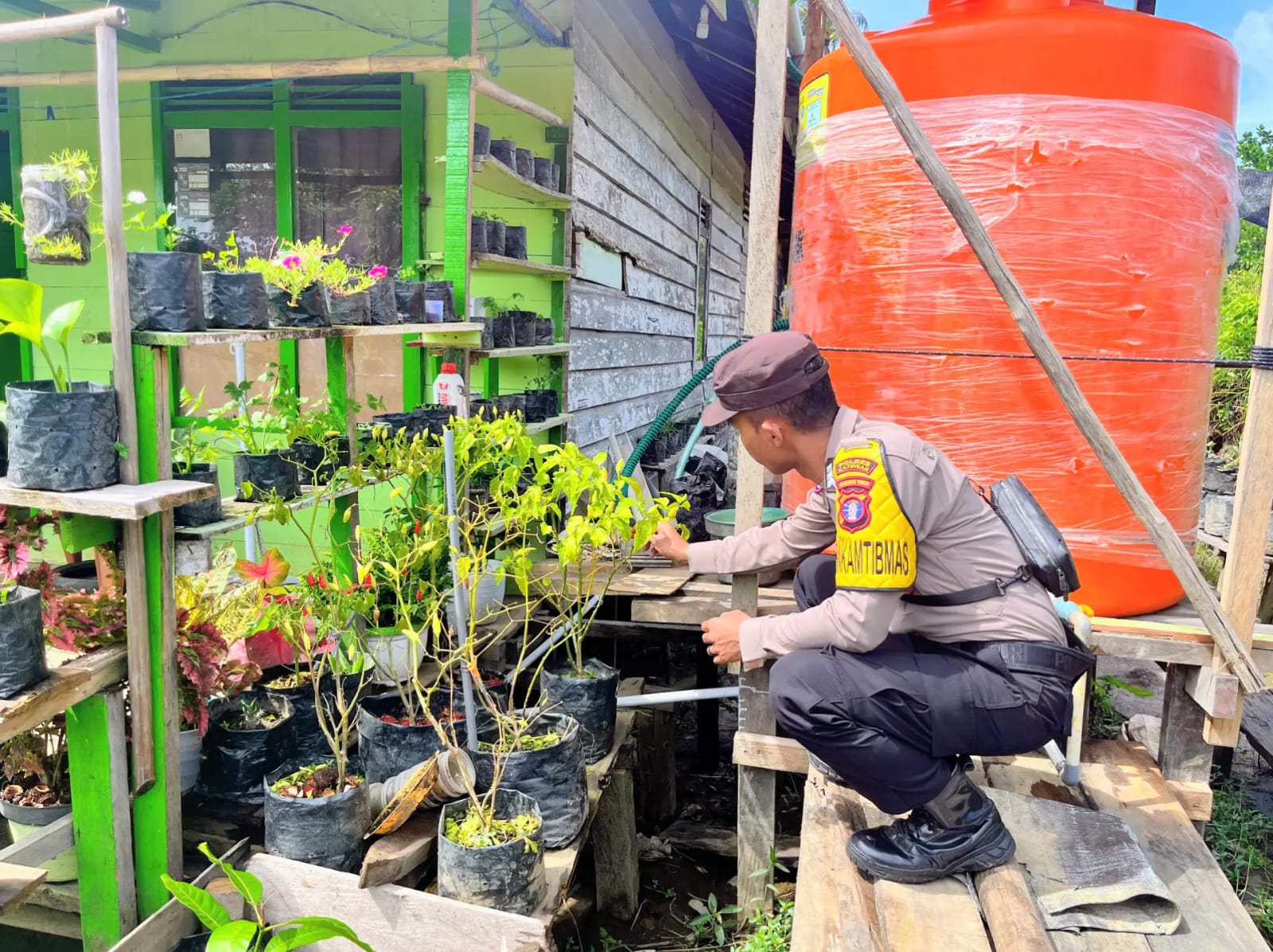 Mendukung Ketahanan Pangan, Personil Polsek Katingan Kuala Rutin Melakukan Pengecekan Lokasi Pemanfaatan Lahan Pekarangan Warga