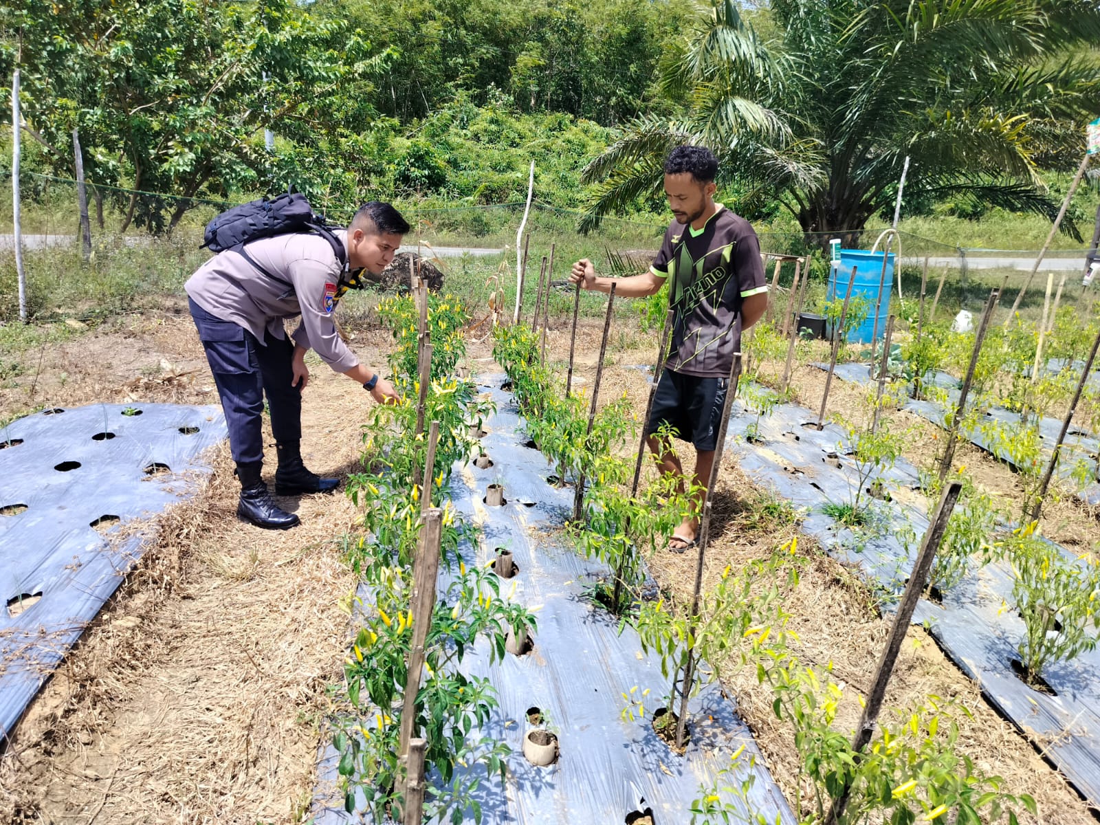 Perkuat Ketahanan Pangan, Bhabinkamtibmas Polsek Delang Jalin Silaturahmi dengan Warga