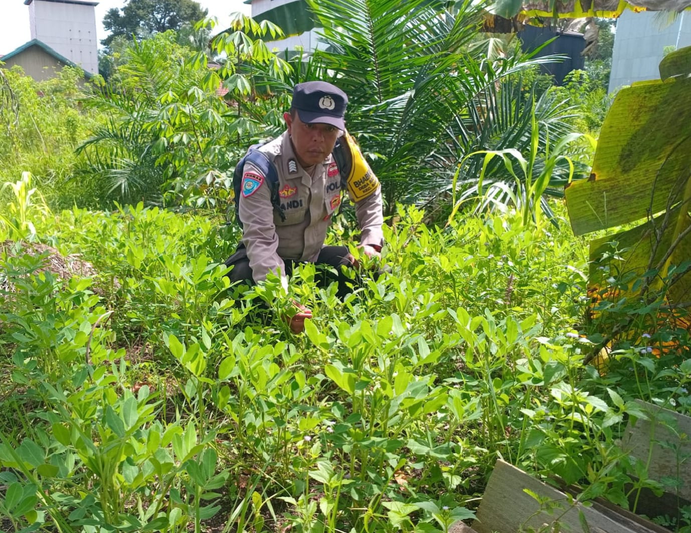 Personil Polsek Sanaman Mantikei Cek Lokasi Pemanfaatan Pekarangan Warga.